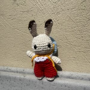 Amigurumi de Ternurin: imagen 6